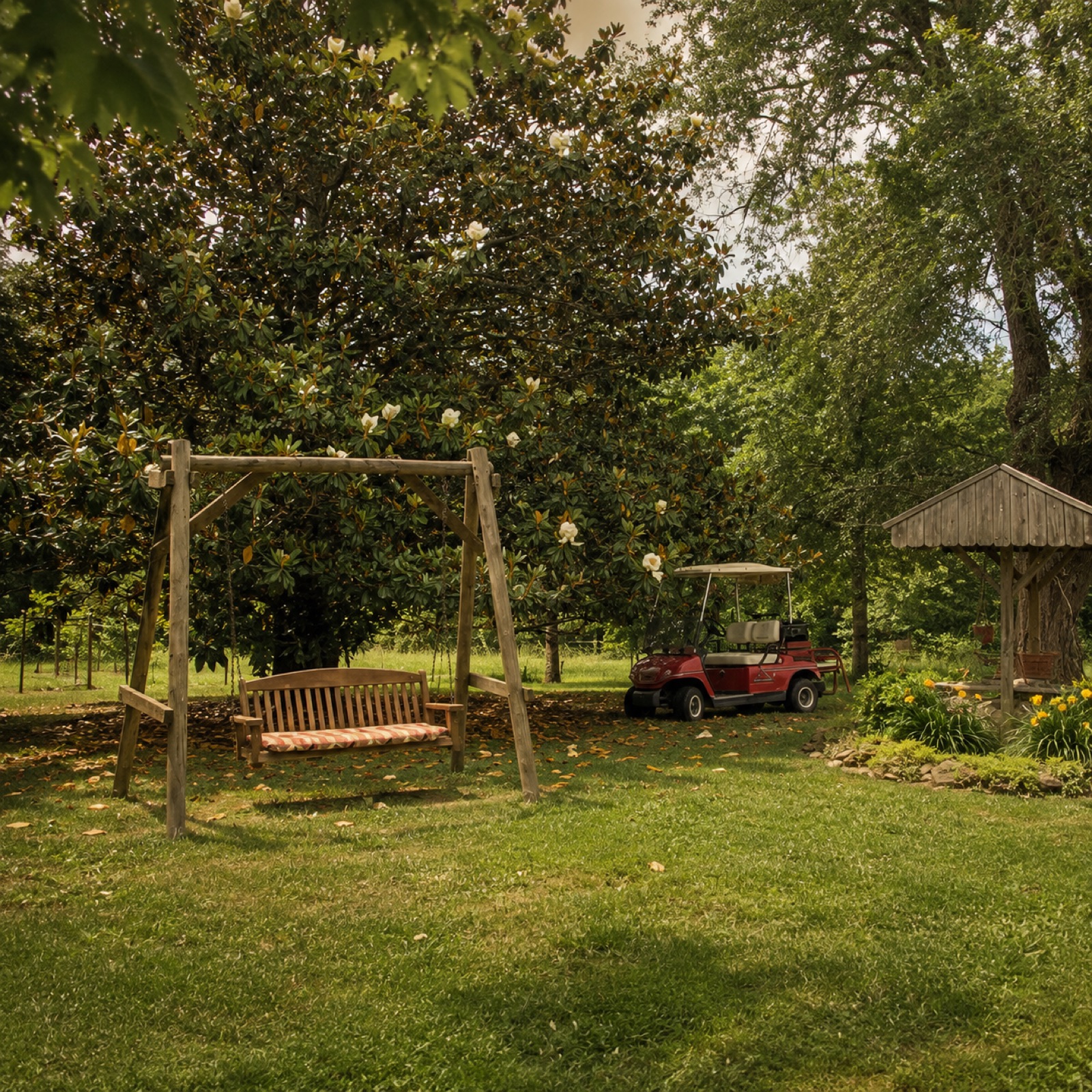the swing under the magnolia