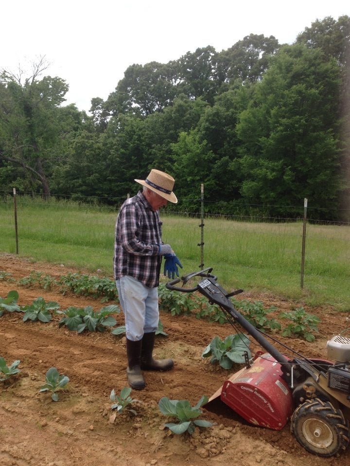 Pappy at the tiller in the garden rows, straw hat down, checking his work